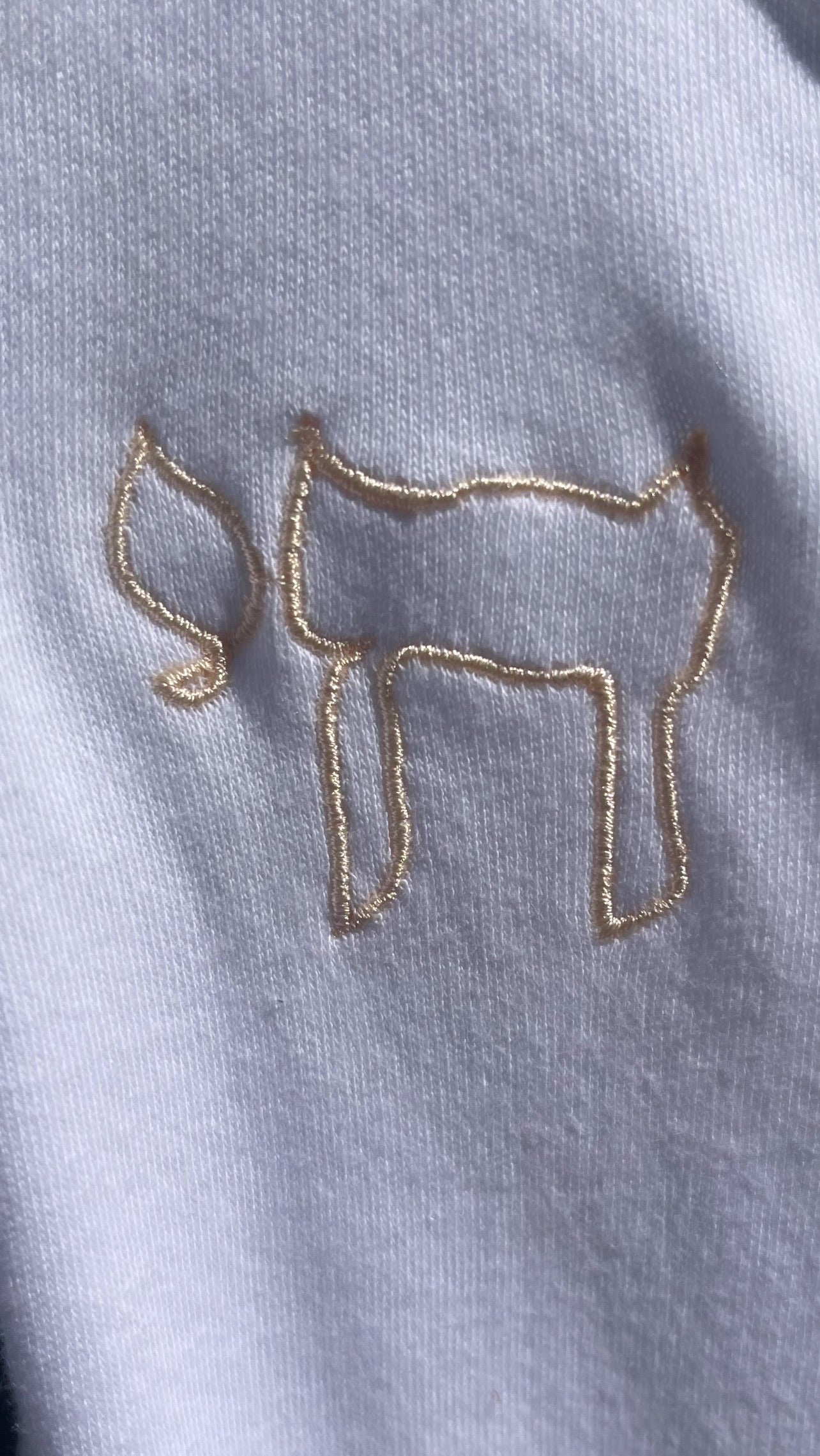 Alive & bold חי baby pant