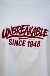 UNBREAKABLE Tshirt double sleeves