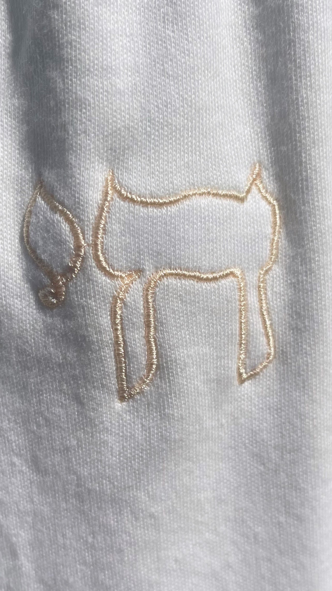 Alive & bold חי baby pant