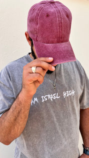 Am Israel high stonewash T-shirt