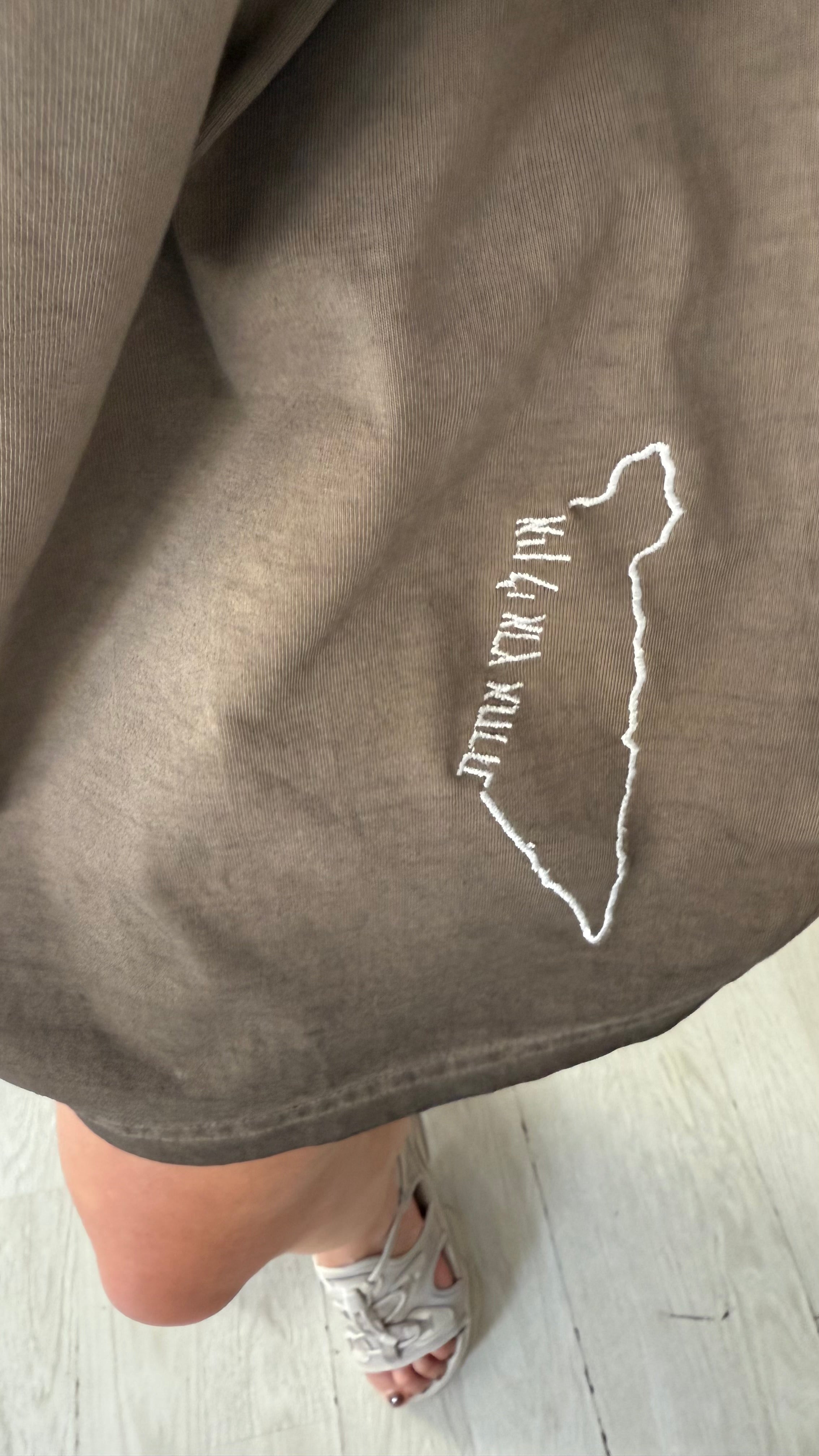 Israel T-shirt אין לי ארץ אחרת