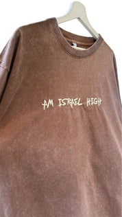 Am Israel high stonewash T-shirt