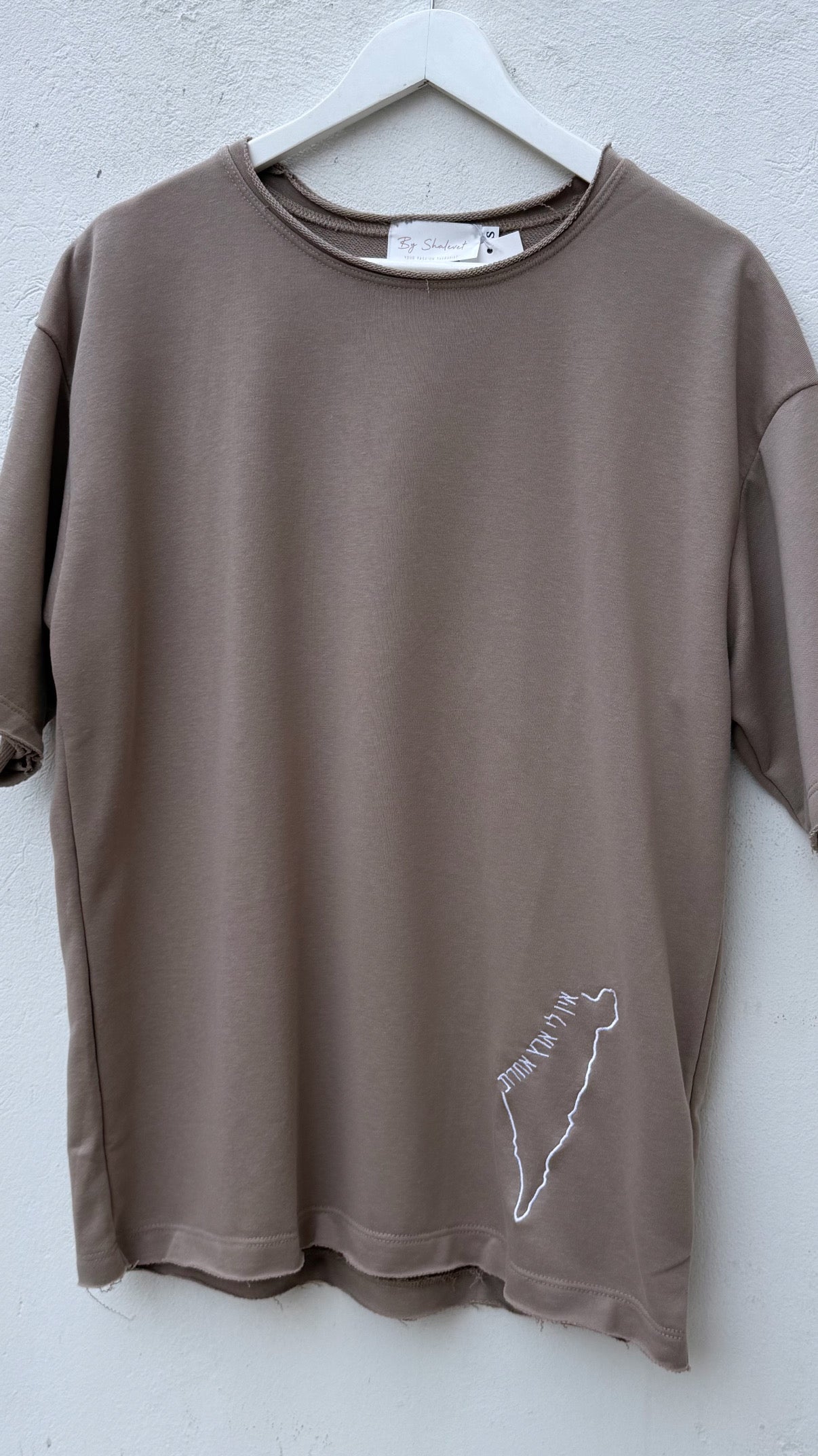 Israel T-shirt אין לי ארץ אחרת
