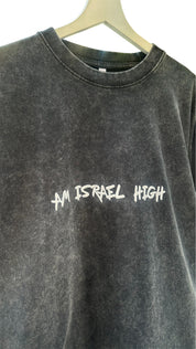 Am Israel high stonewash T-shirt