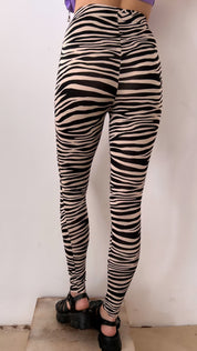 Zebra tights